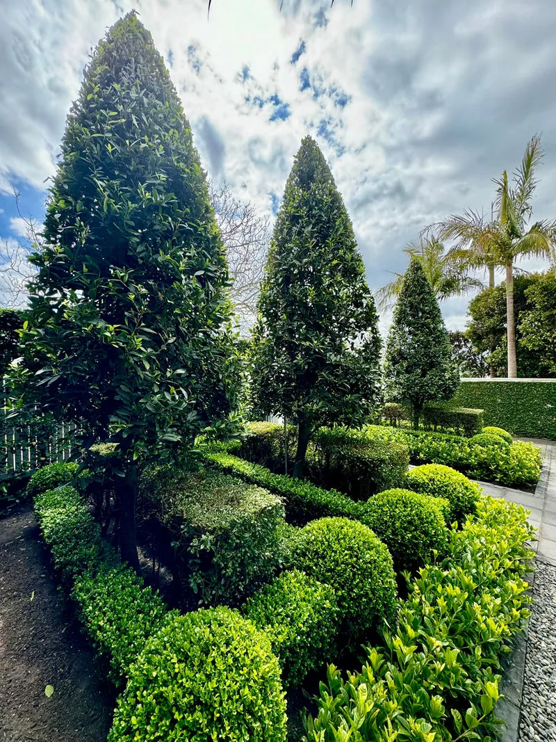 A lush, immaculately maintained park-like Auckland garden by Urban Leaf Landscaping