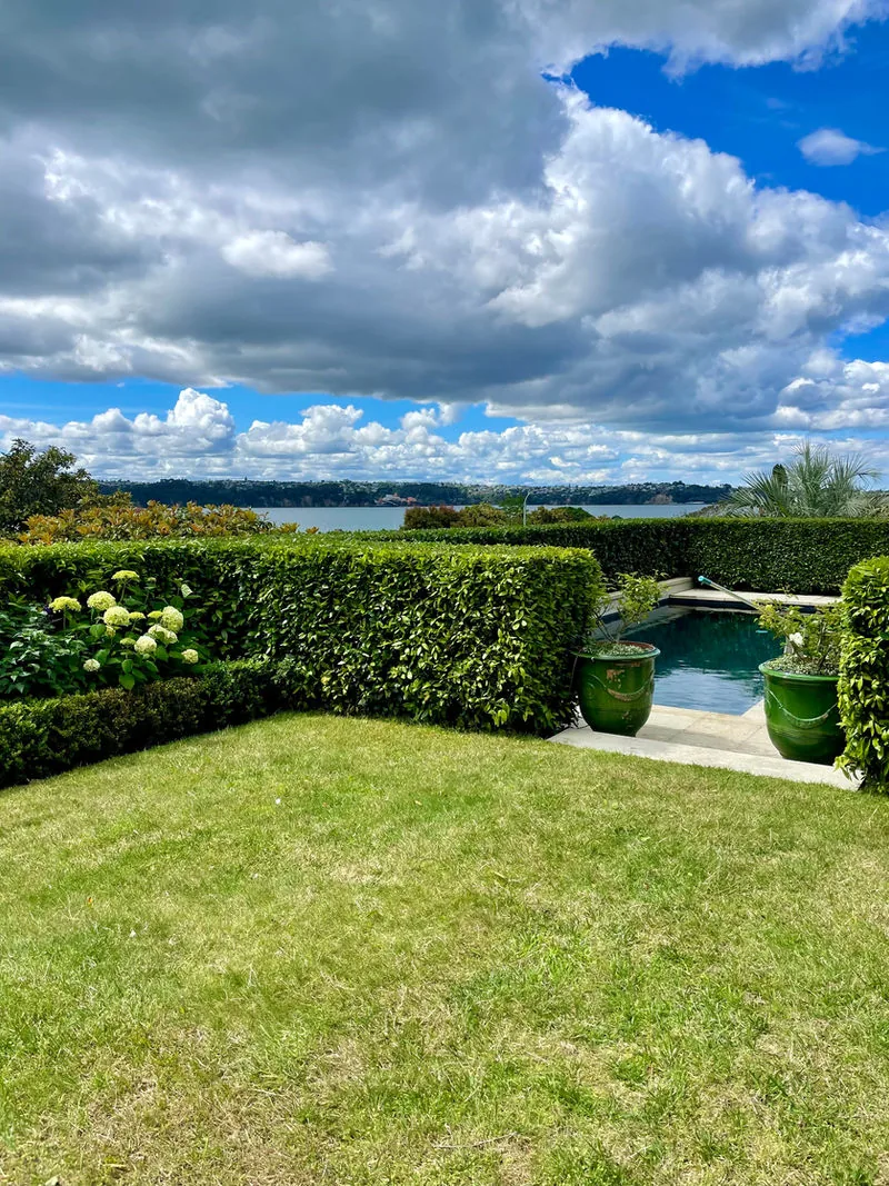 Planting installation - Auckland by Urban Leaf Landscaping