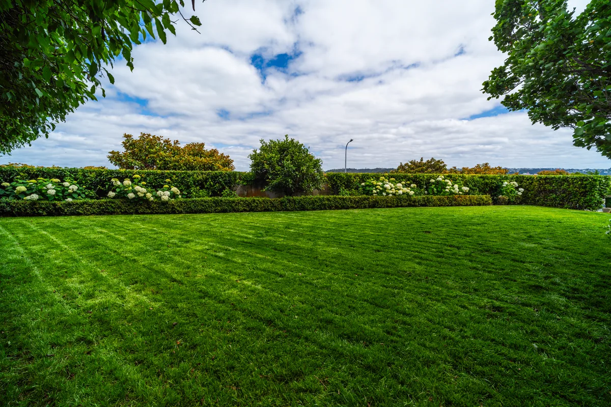 Lawn mowing and care - Remuera by Urban Leaf Landscaping
