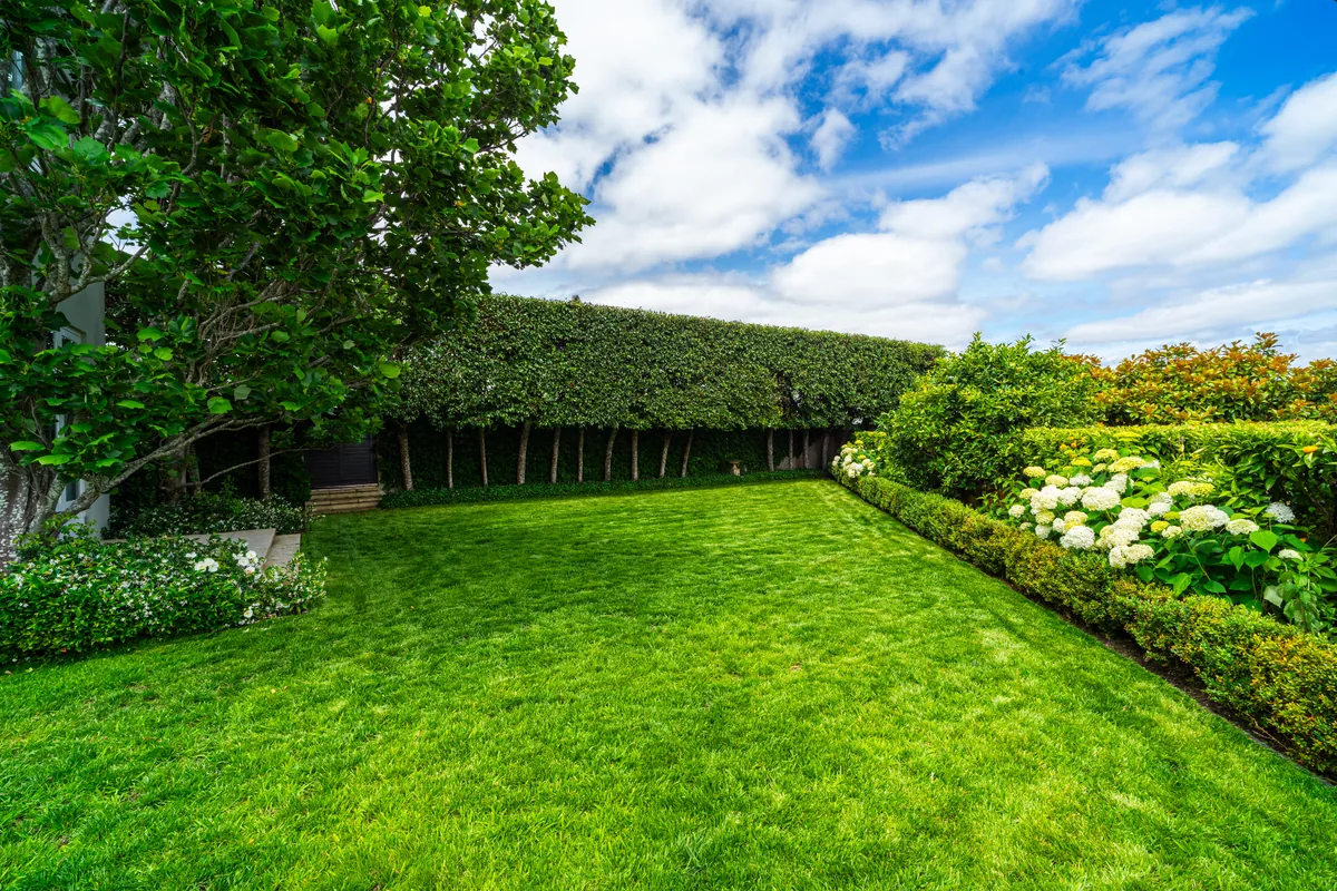 Lawn Care project by Urban Leaf Landscaping in Auckland